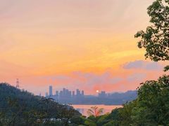 -深圳仙湖植物园