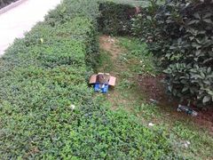 -南京理工大学紫金学院