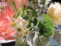 -翡翠鸟精品泰国菜(北辰财富中心店)