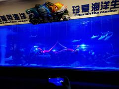 -成都浩海立方海洋公园