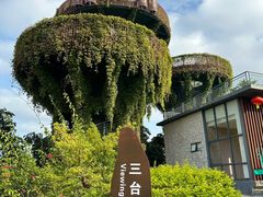 -芒洲湿地公园