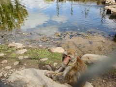 -鄂尔多斯野生动物园