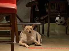 -Cactus墨西哥仙人掌餐厅