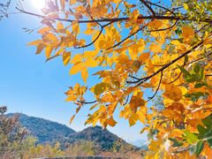 -北京西山国家森林公园