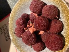 紫苏杨梅-蛙小侠(卓悦里店)