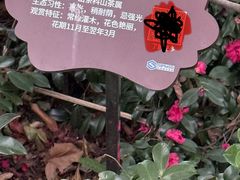 -白塘生态植物园