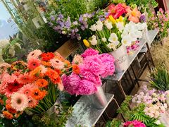 -二酉书店TOYOU BOOKS