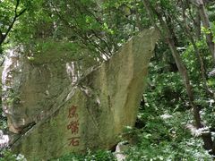 -王顺山国家森林公园