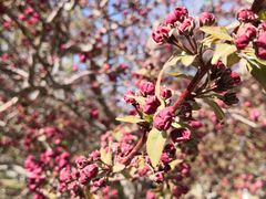 -元大都城垣遗址公园