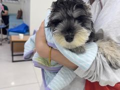 -美联众合动物医院·24h京西诊疗中心
