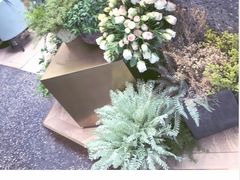 景观位-大树餐厅(红旗街万达店)