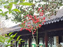 -秋霞圃