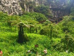 -百魔洞景区