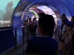 -房山世界地质公园博物馆