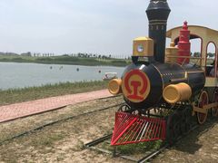 -洪湖湿地生态园