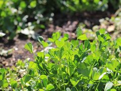 -菩提素食·私房菜(首辅路店)