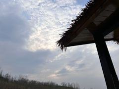 -西部长青自然儿童乐园