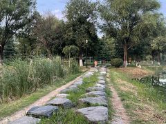 -西安浐灞国家湿地公园