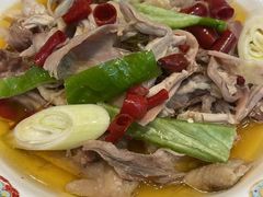 -巴依老爷新疆美食(工体旗舰店)
