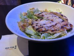 -bluefrog蓝蛙(皇庭广场店)