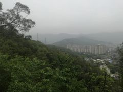 -金鸡山公园