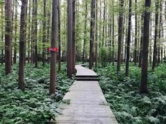 -上海怡沁园度假酒店