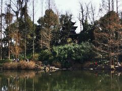 -浏河古镇
