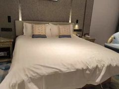 -北京国玉大酒店(鸟巢科技馆店)