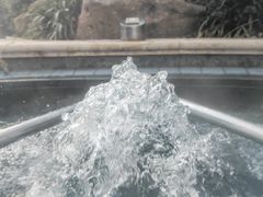 -苏州湾·王焰温泉