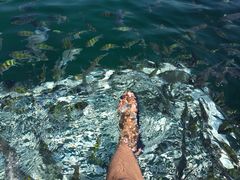 -槟城街头艺术街区