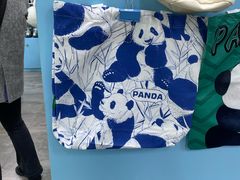 -中国大熊猫保护研究中心雅安碧峰峡基地