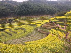 景点-灵山景区梯田