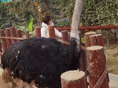 -呀路古热带植物园