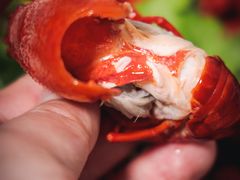 -囧吉香生蚝牛排馆(湖北路店)