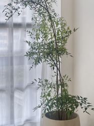 -JNK皮肤管理中心