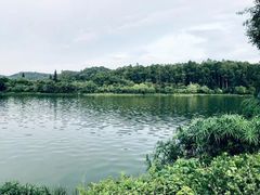 -南国桃园旅游度假区