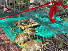 -水上乐园·欢乐世界