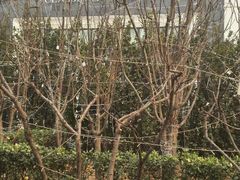 -克拉斯家居旗舰店