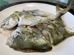 -天鹰观渔(梦园店)