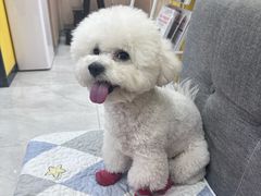 -瑞派·爱瑞可动物医院·口腔专科(广华新城分院)