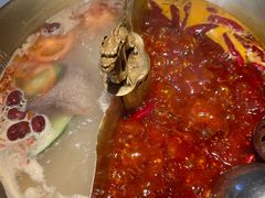 -小龙翻大江文化火锅(宽窄店)