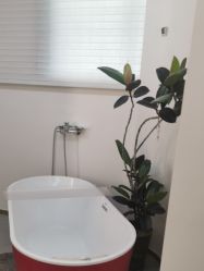 -WENDY·温迪皮肤管理