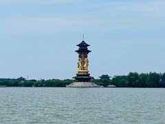 -溱湖国家湿地公园