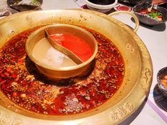 -哥老官重庆美蛙鱼头(宝山龙湖店)