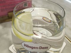 -哈根达斯(深圳海岸城店)