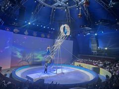 -上海马戏城