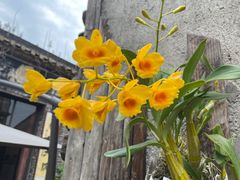 -三溪村