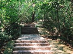 -赭山公园