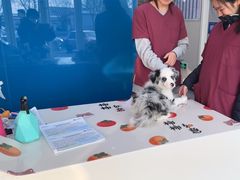 -芭比堂动物医院·CT·微创中心(新顺分院)