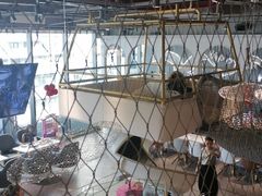 -NOKNOK若蔻亲子餐厅(天地壹方北馆店)